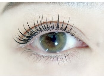 レディ(Lady)/うるつや美まつ毛パーマ