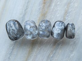 【Art 10】くらげ