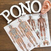 ポノ(Pono)