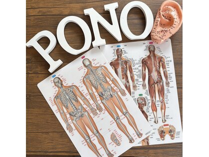 ポノ(Pono)の写真