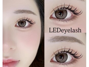 デイジー バイ アルテフィーチェ 梅田(daisy by artefice)/LEDエクステ☆