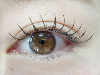 クラリスバイネオ 武蔵小杉(Claris by neo)/カラーフラットラッシュ