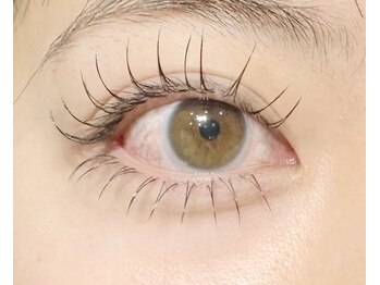 リグ(rig')/上下フラットラッシュ