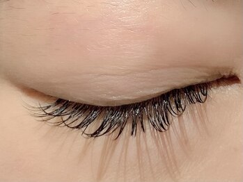 カラン 焼津店(CALIN)/アップワードフラット120本