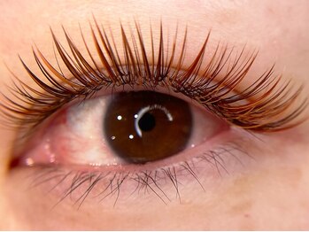 ベリンダ アイラッシュサロン(belinda)/ 【テラコッタ×アプリコット】