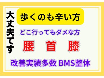 整体眞田流/BMS整体 歩行が辛くお困りの方
