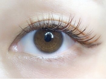 ローラント(LAURENT)/カラーマツエク160本