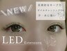 《25~29日来店限定》【LEDフラットラッシュ】100本＊¥5400