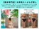 ヨサパーク ベスティ 阿佐ヶ谷(Yosa Park bestie)の写真