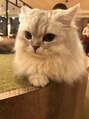 癒し～ぷ 高田馬場店&nbsp;猫が大好きです！たまに、猫カフェにも行って癒されてます！
