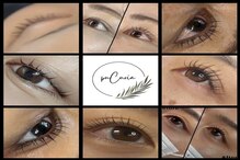 プチュリア(puCuria)