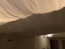 ルピナス(Lupinus)/