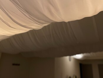 ルピナス(Lupinus)/