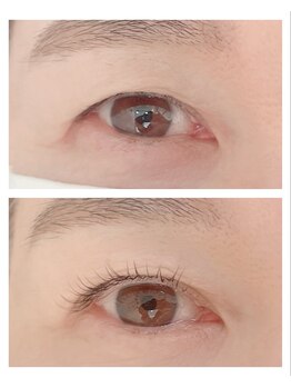 シンシア(SINCERE)/