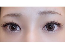 ルピナス(Lupinus)/フラットラッシュ 120本＊