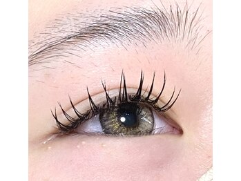 アルコリック(Alcolic)/フラットラッシュ付け放題