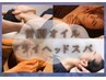 【お試し♪平日限定！】首肩オイル＋ドライヘッドスパ40分7080円→4000円！