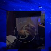 ビューティースプレッド(Beauty SPREAD)