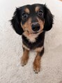 ツヤメキ 近鉄四日市店(TSUYAMEKI) 愛犬です!