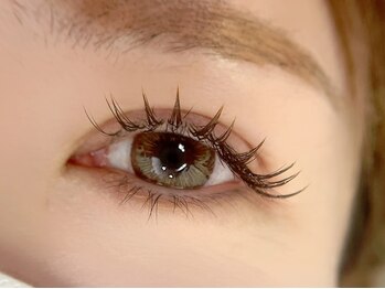 クトワ 大正店(QUE TOI)/ダブルフラット80束 ALL Brown