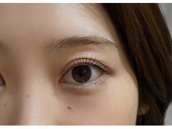 アイリー(eyelly)/まつげパーマ メーテル1