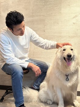 あすから.カイロプラクティック 石芝院/イヌ