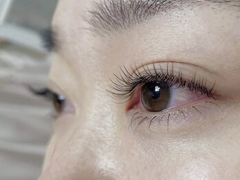 ラッキー(Lucky)/