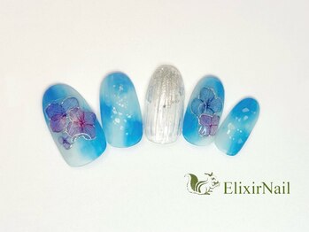 エリクサーネイル 渋谷(Elixir Nail)/定額bカジュアル/クーポン使用