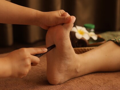 サバイサバイの写真