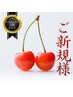 【ご新規様用☆5月限定☆】平日10時～16時限定☆150種類の定額コース☆