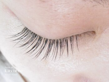 サロン ド ラヴィエール(salon de Laviere)/120本（片目60+60）