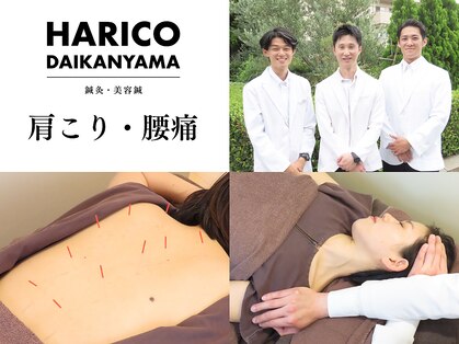 ハリコ 代官山の写真