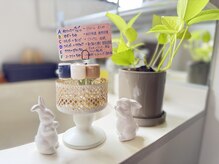 ティルナノーグイリニ(Tir Na Nog-EIRINI)/選べるフットバスの香り♪