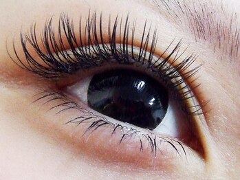 ヴィクーニャ(VICUNA)/上まつげつけ放題5,000-