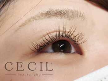 セシルビューティーラボ(CECIL beauty labo)/スーパーフラットラッシュ100本