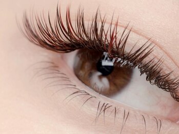 ルルラッシュ 堀江(LuLu lash)/カラーエクステ ブラウン