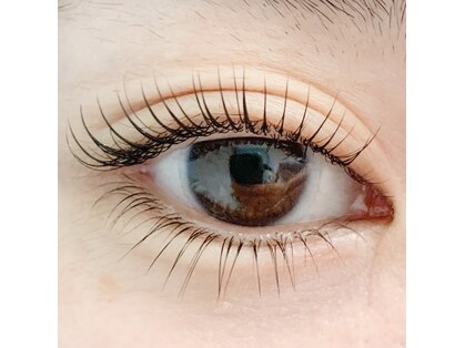 ミルト(Milte)の写真