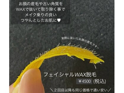 ミミ(Mimi)の写真