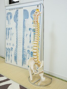 吉澤整体院/模型