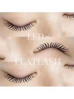 スイ(SUI)/LEDマツエク100本仕上がり♪