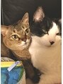 リラクシー(relaxy) 動物全般好きですが特に猫が好きです