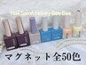 【夏のおすすめ】フットマグネットワンカラーネイル￥7000