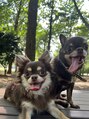 ネオファースト(NeoFirst) 舌が出ちゃうチワワ2匹飼ってます☆