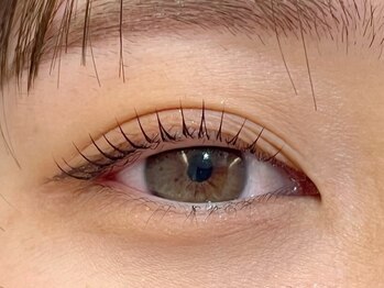 カシータ(Casita)/パリジェンヌラッシュリフト