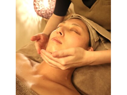 ステラ(Stella)の写真