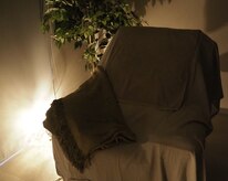 バクのひと眠り