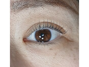 レインボー(Rainbow)/