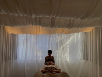 ルピナス(Lupinus)/