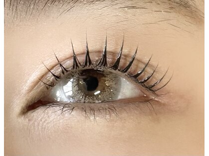 クレール(clair)の写真