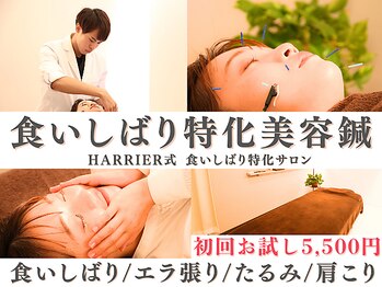 ハリアー(HARRIER)